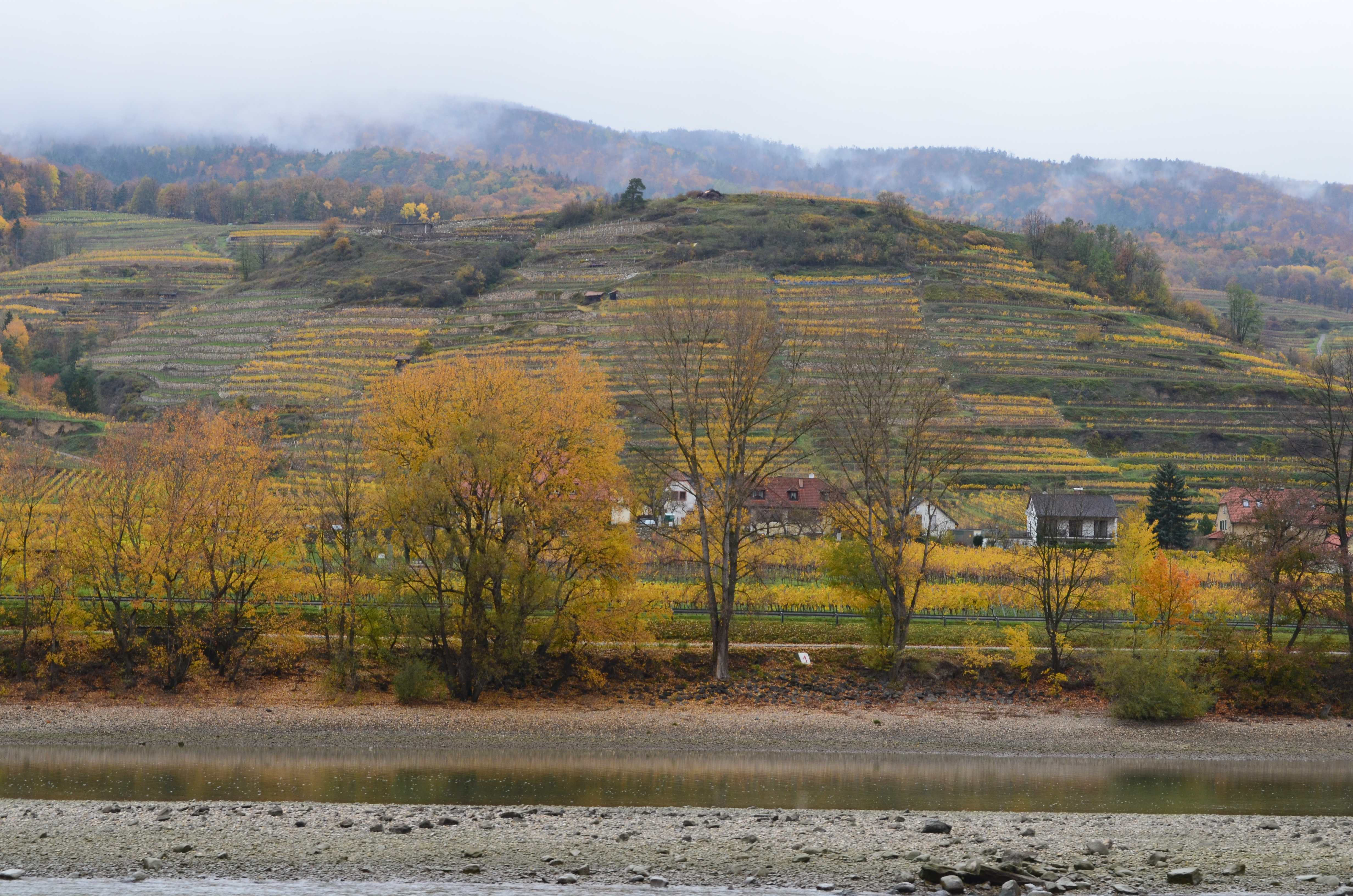 ./2017/19 - Viking Lif/03 - Melk, Austria/DSC_0840.JPG
